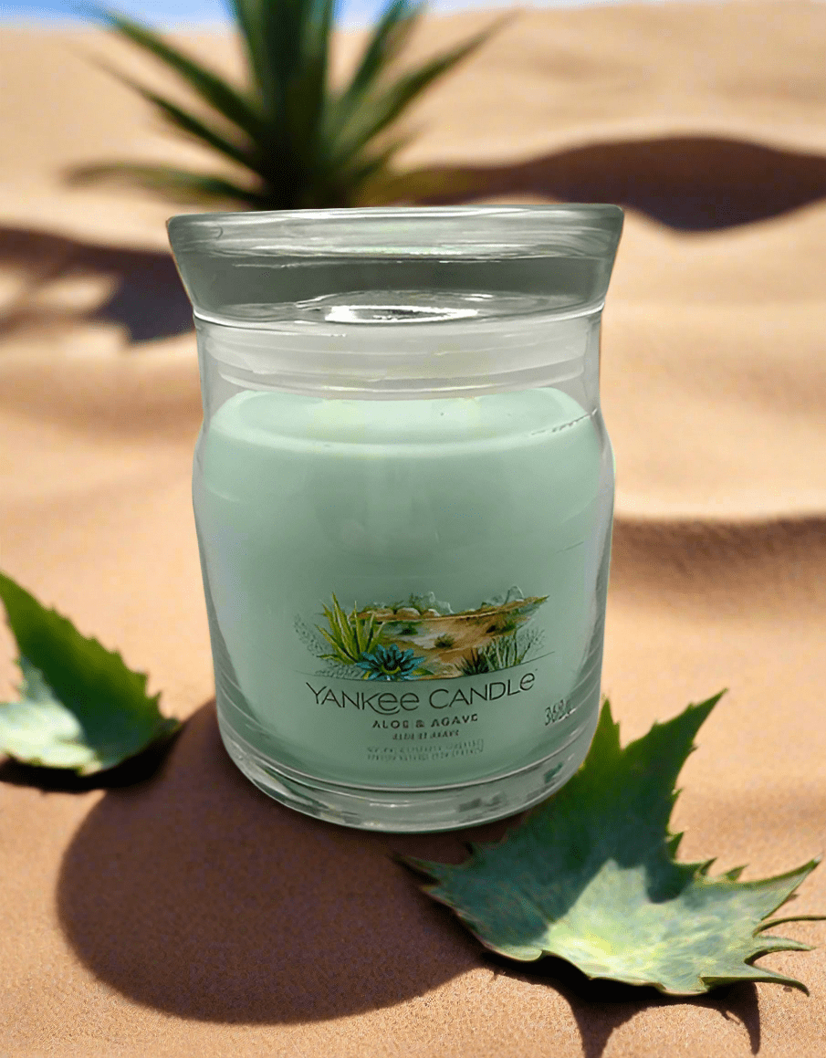 Aloe & Agave – Signature Medium & Large Jar - Impala Online