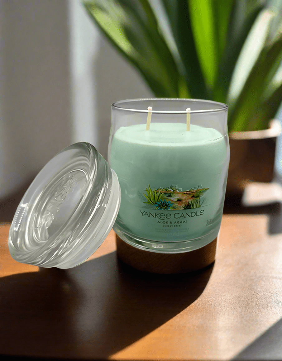 Aloe & Agave – Signature Medium & Large Jar - Impala Online