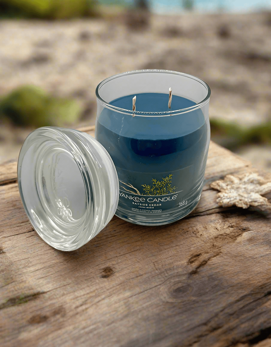 Bayside Cedar – Signature Medium & Large Jar - Impala Online