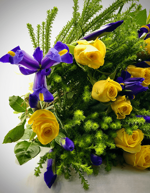 Blue Iris Surprise Bouquet - Impala Online