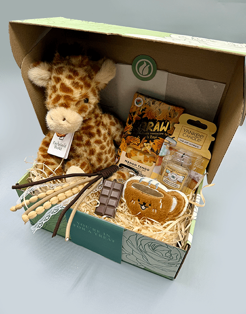 Giraffe Box - Impala Online