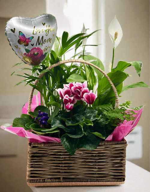 Mother's Day Plant Basket with Foil Balloon - Large - Impala Online