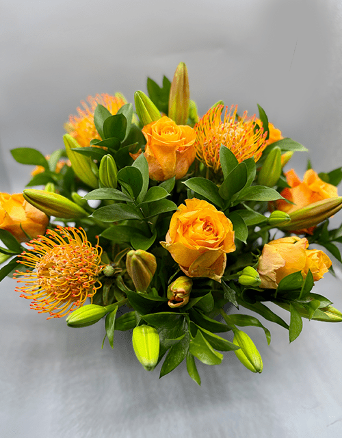 Orange Rose and Pincushion Arrangement - Impala Online