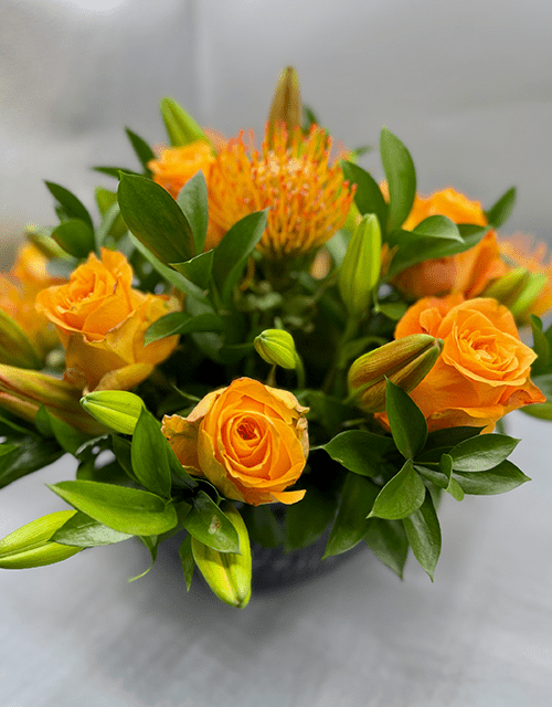 Orange Rose and Pincushion Arrangement - Impala Online