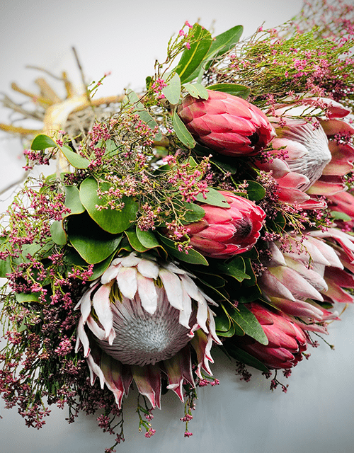 Perfect Protea Mix - Impala Online