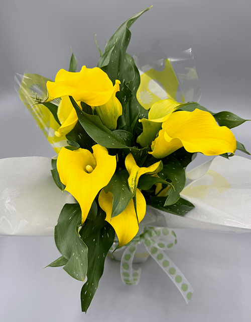 yellow arum lily flower Perfect Yellow Arum Lilly – Impala Online