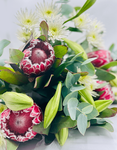 Soft Protea Mix - Impala Online