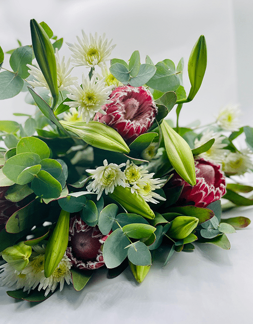 Soft Protea Mix - Impala Online