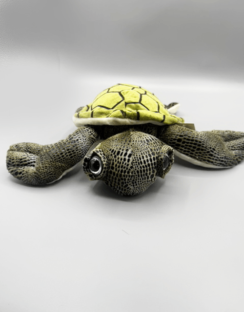 Turtle soft toy - Impala Online