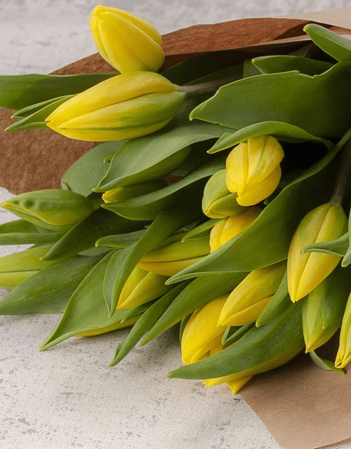 Yellow Tulip Bunch - Impala Online