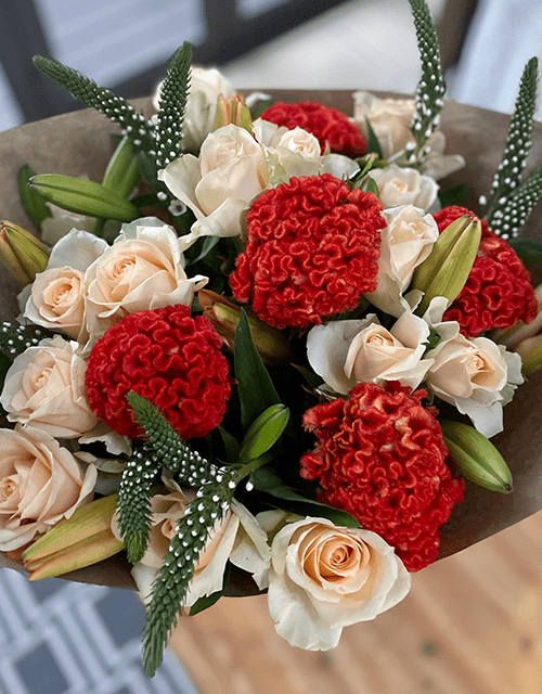 Cream Coral Creation - Impala Online