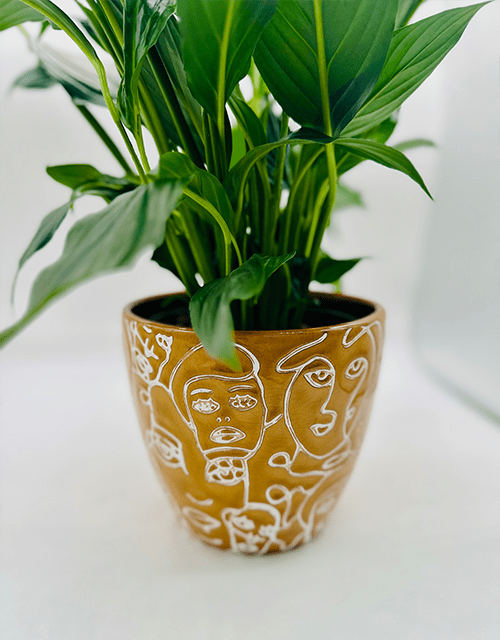 mustard plant in pot Mustard Ceramic Pot – Impala Online