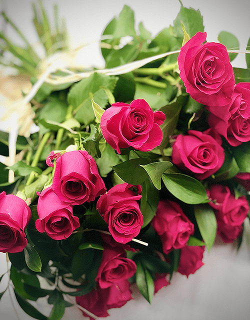 Pink Rose Bouquet - Impala Online