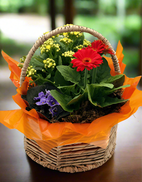 Pretty Red Basket - small - Impala Online