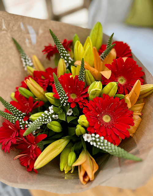 Red Bold and Beautiful Gerbera Mix - Impala Online