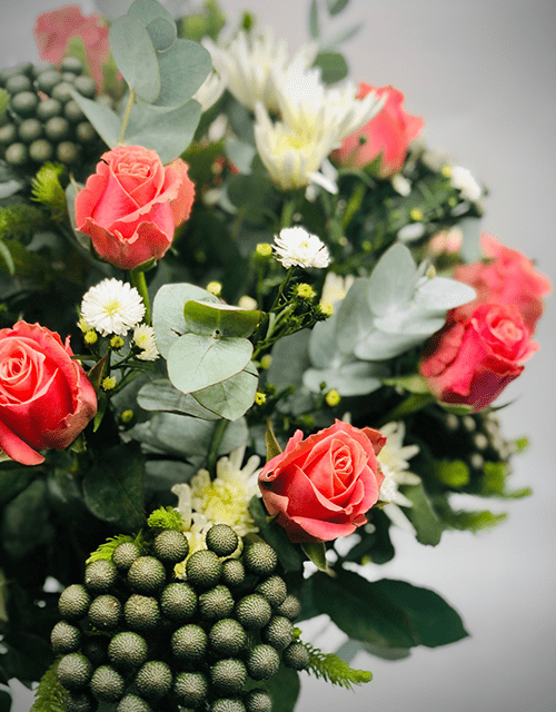 Salmon Rose Surprise - Impala Online