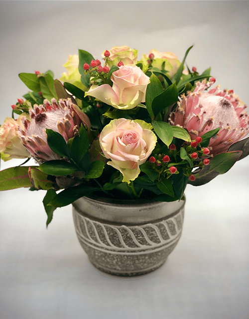 Soft Pink Bearded Protea Arrangement - Impala Online