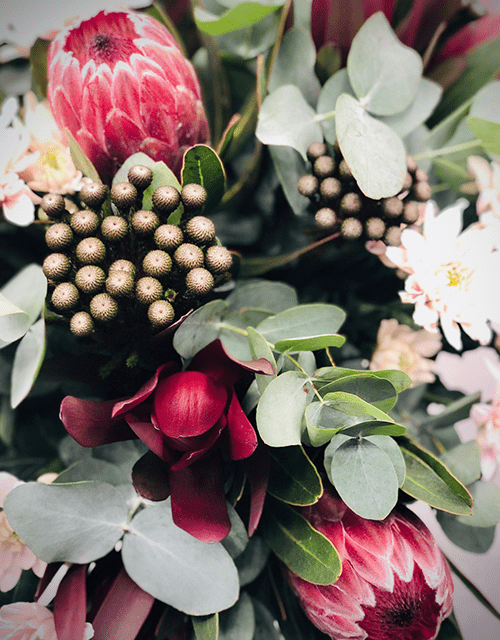 Soft Protea Arrangement (Large) - Impala Online