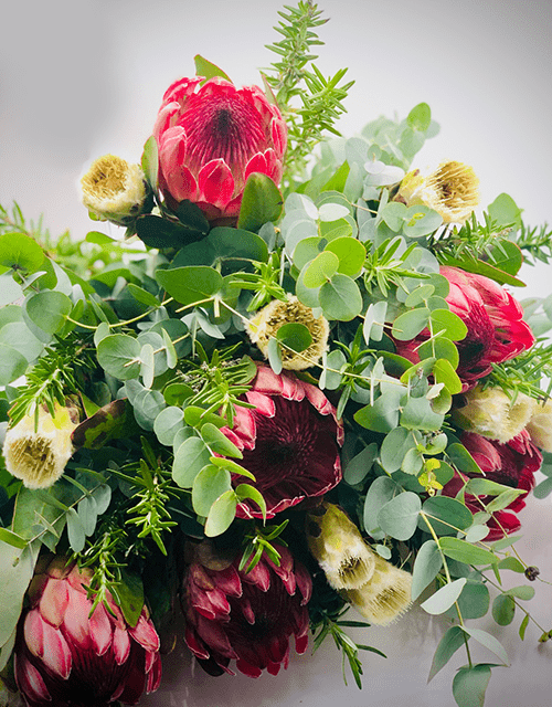 Wild Protea Mix - Impala Online
