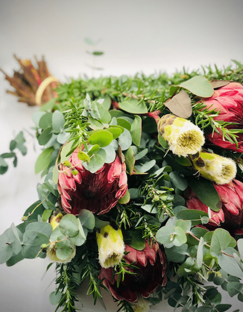 Wild Protea Mix - Impala Online