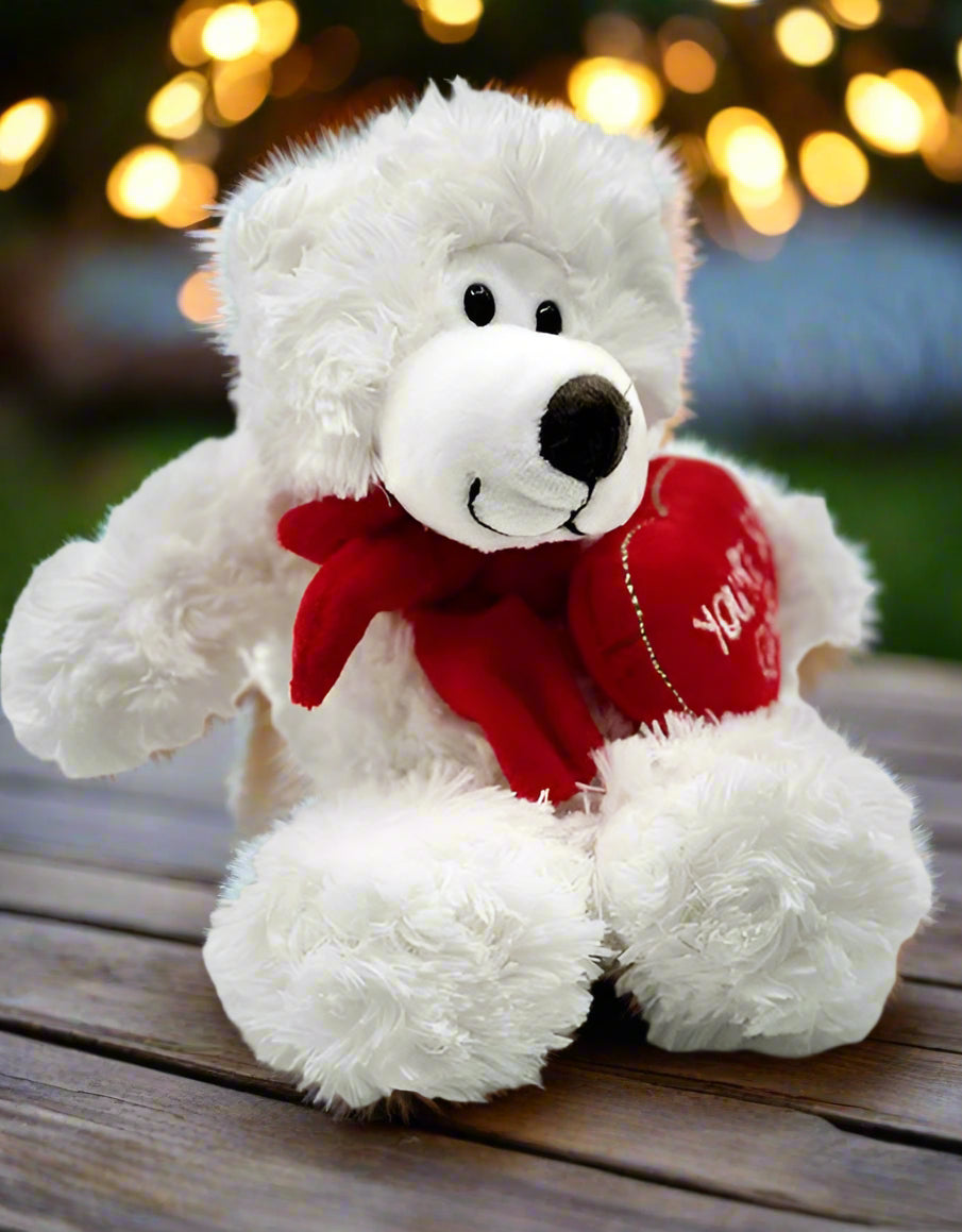 'Your so Cute' teddy - medium size - Impala Online