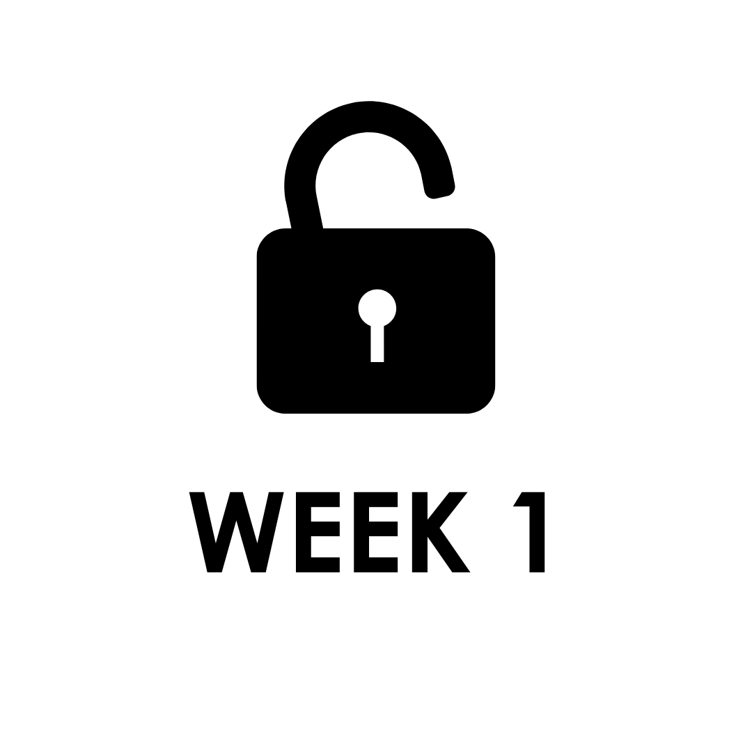WEEK 1 – Impala Online