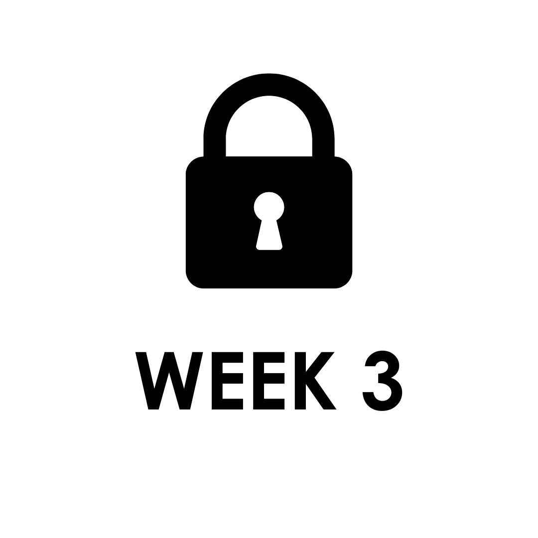 WEEK 3 – Impala Online