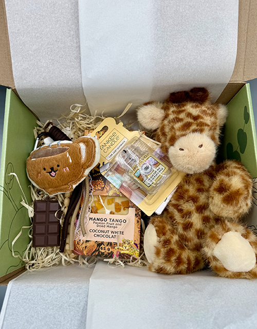Giraffe Box