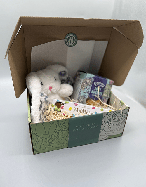 Blue Bunny Gift Box - Impala Online