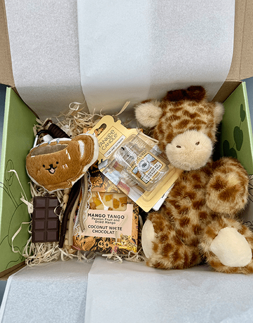 Giraffe Box - Impala Online