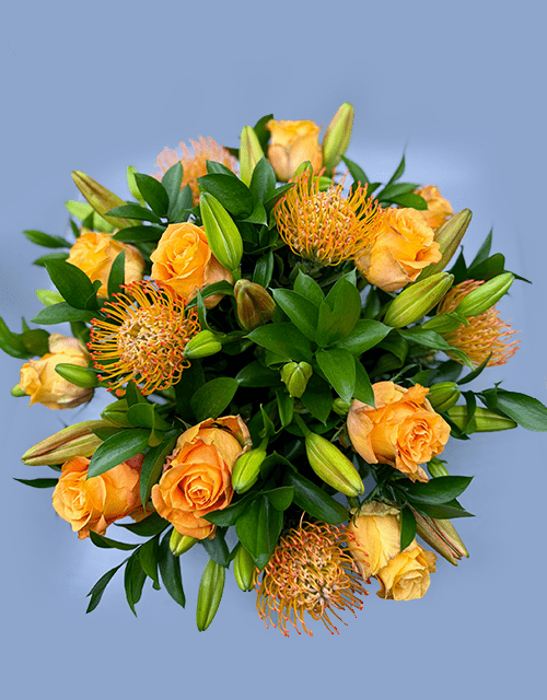 Orange Rose and Pincushion Arrangement - Impala Online