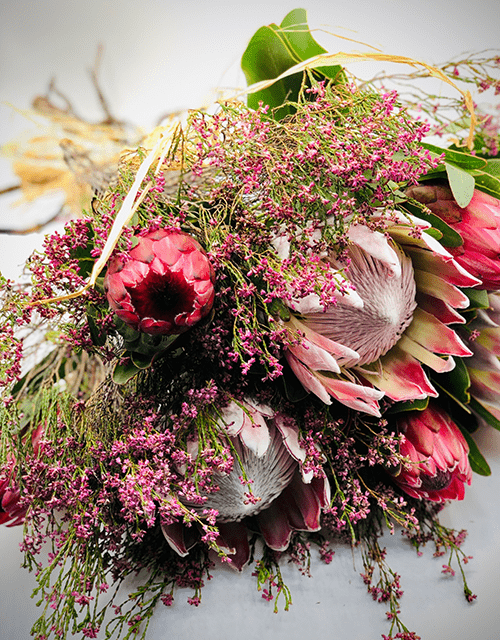 Perfect Protea Mix - Impala Online