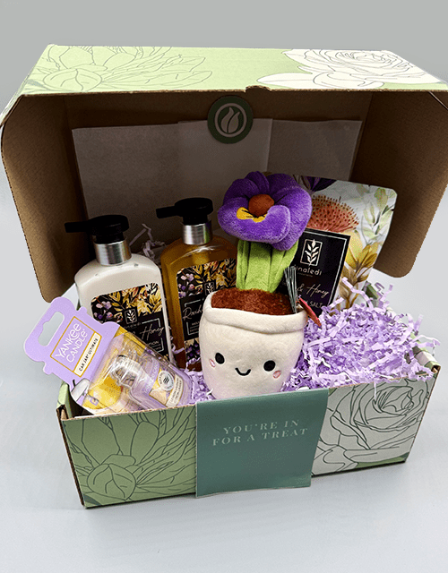 Purple Pansy Box - Impala Online