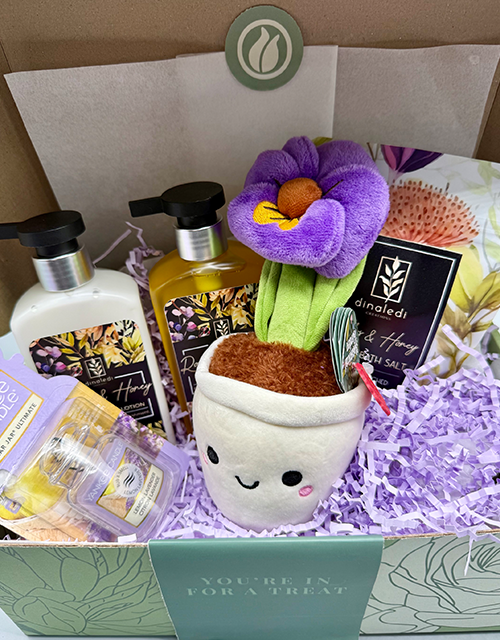 Purple Pansy Box - Impala Online