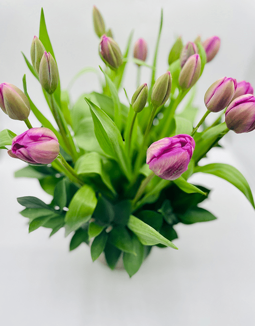 Purple Tulip Arrangement - Impala Online