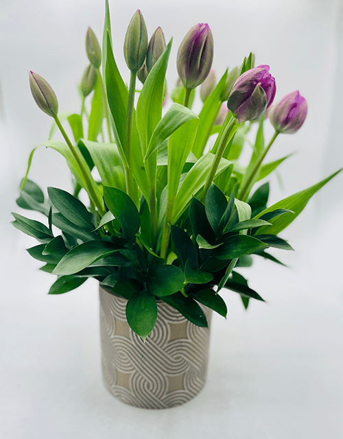 Purple Tulip Arrangement - Impala Online