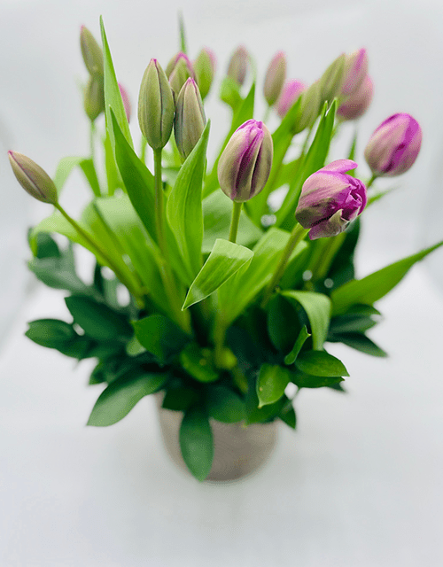 Purple Tulip Arrangement - Impala Online
