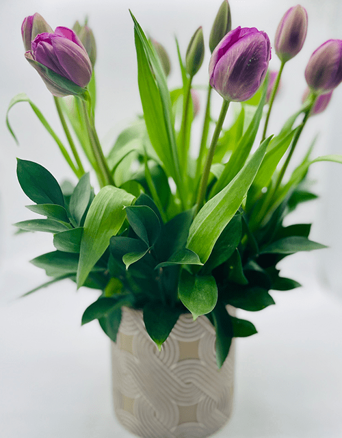 Purple Tulip Arrangement - Impala Online