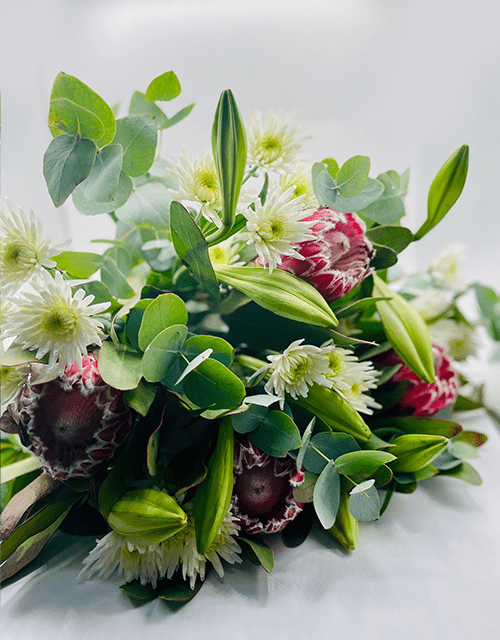 Soft Protea Mix - Impala Online