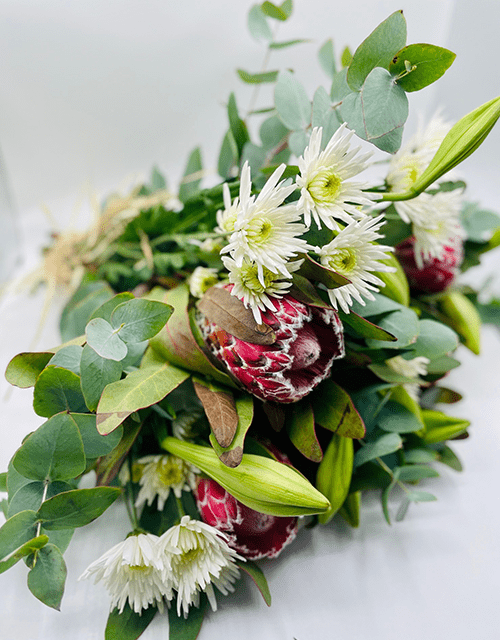 Soft Protea Mix - Impala Online
