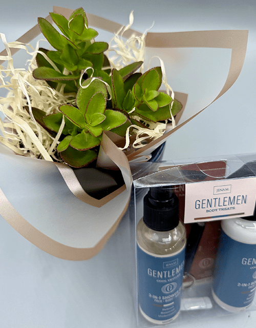 Succulent Plant in Navy - Blue Ceramic Pot with Gentlemen Gift Set - Impala Online