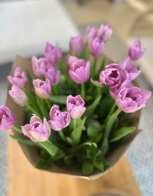 Tulip Bunch (Various Colours) - Impala Online