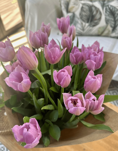 Tulip Bunch (Various Colours) - Impala Online