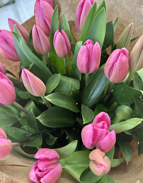 Tulip Bunch (Various Colours) - Impala Online