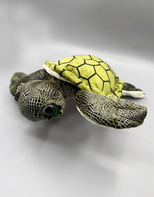 Turtle soft toy - Impala Online