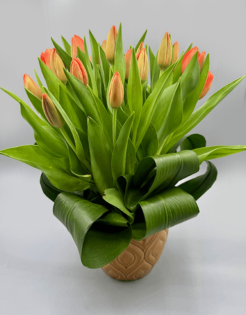 Vibrant Tulip Arrangement - Impala Online