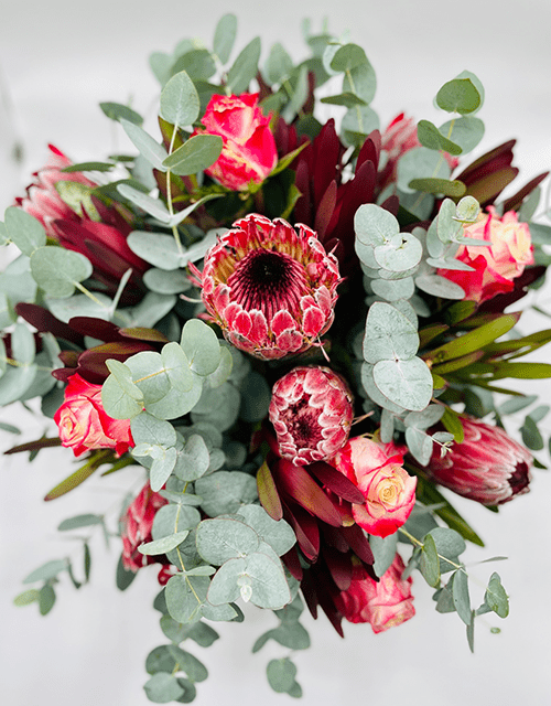 Bowl of Protea's Arrangement - Impala Online