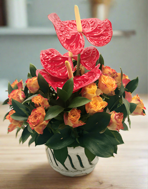 Colourful Anthurium Arrangement - Impala Online