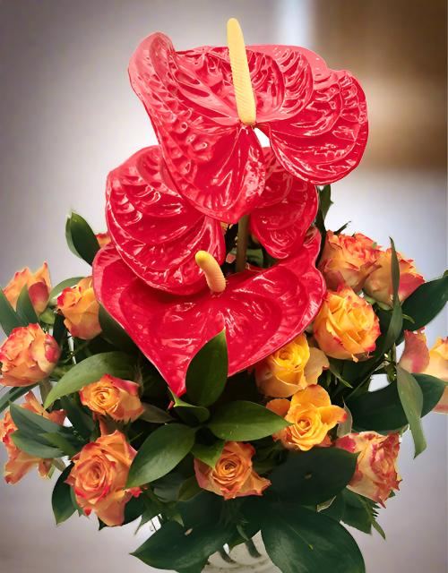 Colourful Anthurium Arrangement - Impala Online