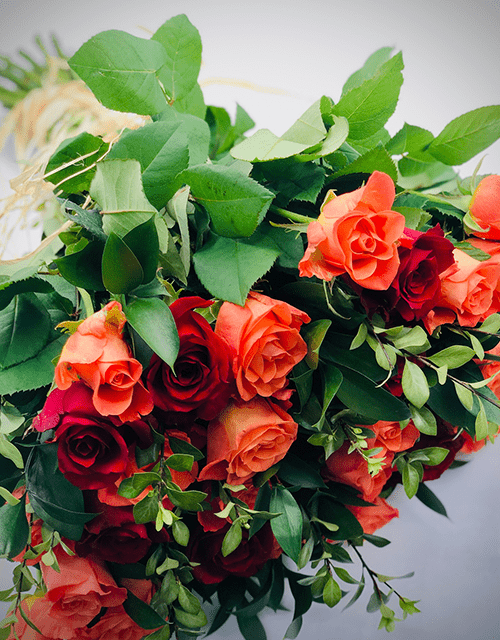 Orange & Red Rose Mix – Impala Online